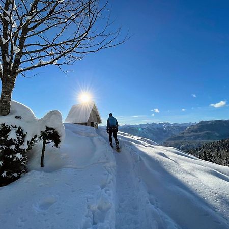 Chalet Hike&Bike Above Bohinj Valley Ngoại thất bức ảnh
