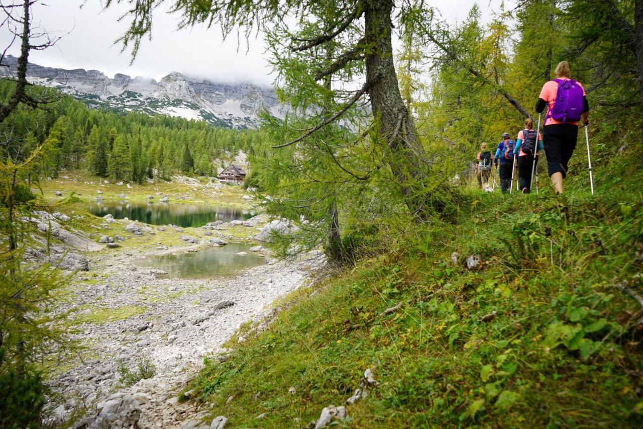 Chalet Hike&Bike Above Bohinj Valley Ngoại thất bức ảnh