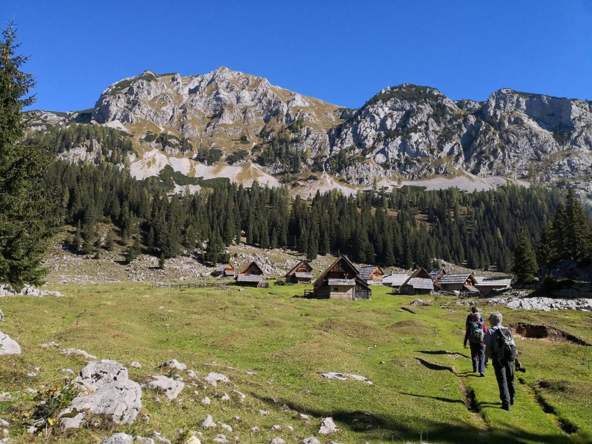 Chalet Hike&Bike Above Bohinj Valley Ngoại thất bức ảnh