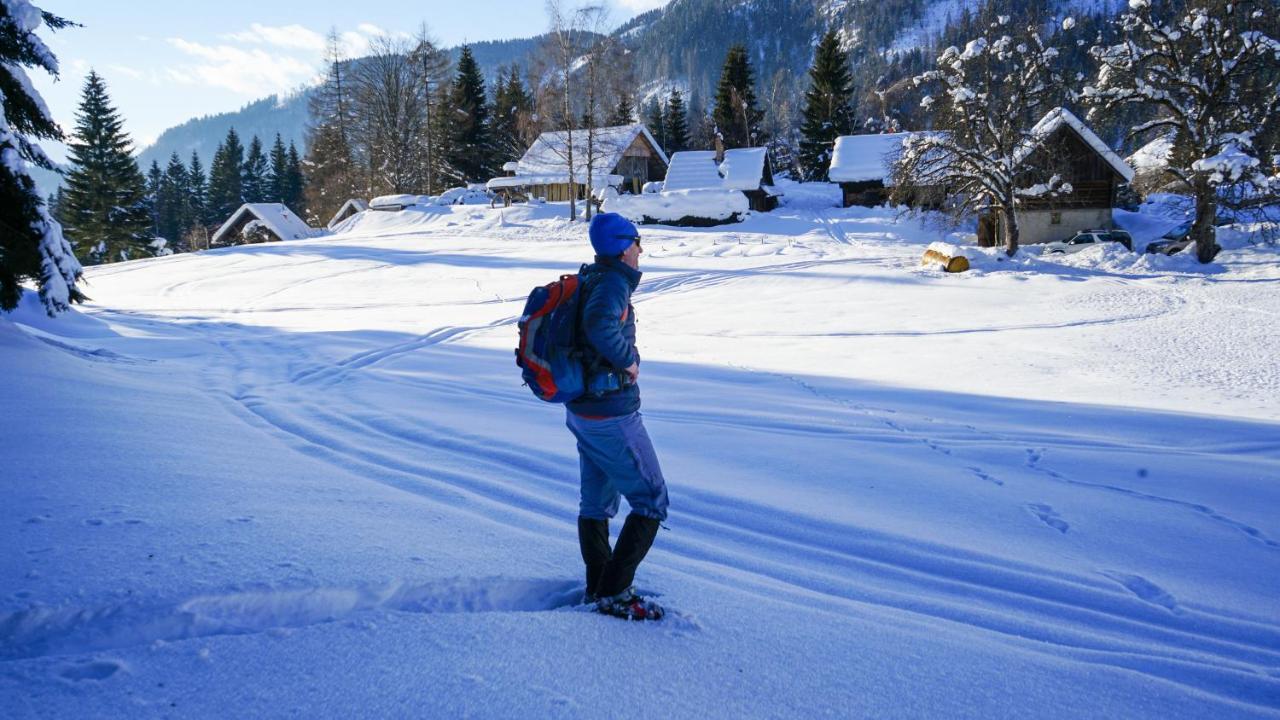 Chalet Hike&Bike Above Bohinj Valley Ngoại thất bức ảnh