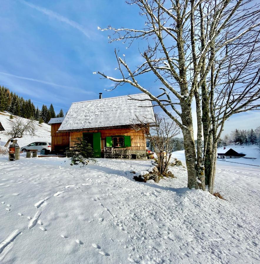 Chalet Hike&Bike Above Bohinj Valley Ngoại thất bức ảnh