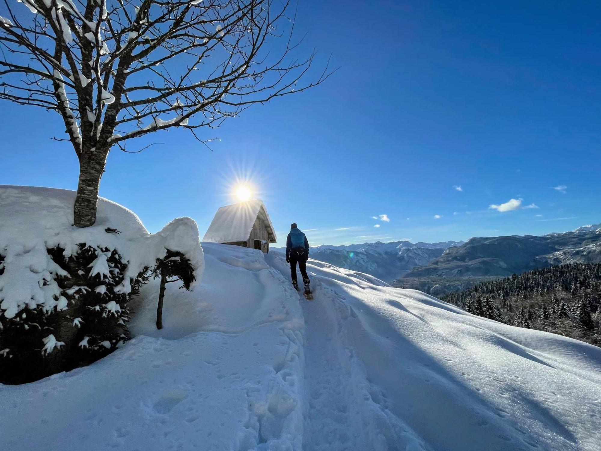 Chalet Hike&Bike Above Bohinj Valley Ngoại thất bức ảnh