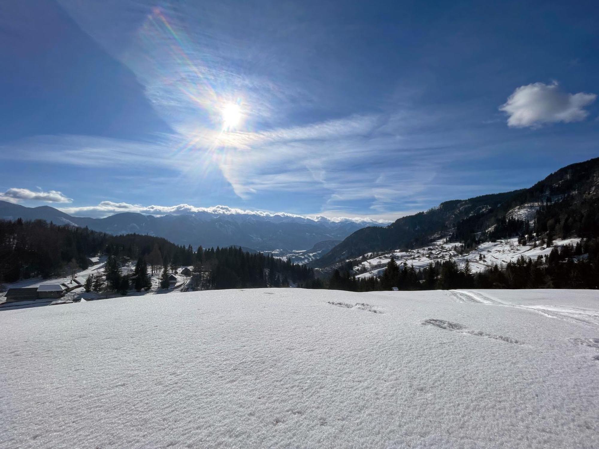 Chalet Hike&Bike Above Bohinj Valley Ngoại thất bức ảnh